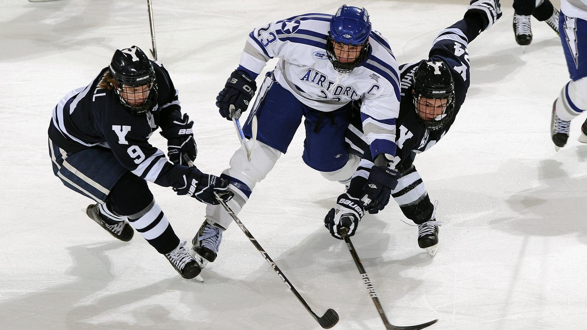 伊布，当关键先生在勒沃库森带走加拿大